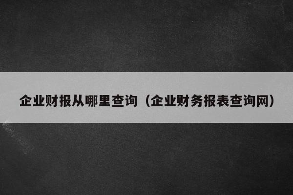 企业财报从哪里查询（企业财务报表查询网）