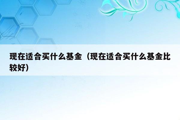 现在适合买什么基金（现在适合买什么基金比较好）