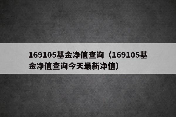 169105基金净值查询（169105基金净值查询今天最新净值）