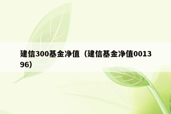 建信300基金净值（建信基金净值001396）