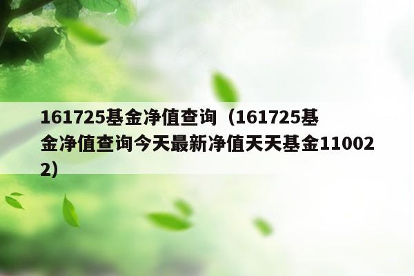 161725基金净值查询（161725基金净值查询今天最新净值天天基金110022）