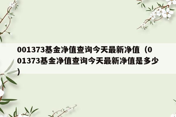 001373基金净值查询今天最新净值（001373基金净值查询今天最新净值是多少）