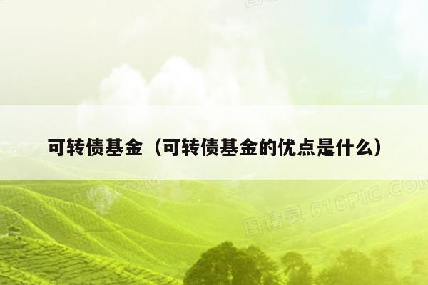 可转债基金（可转债基金的优点是什么）